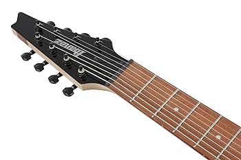 Amazon.com: Ibanez RG8 RG Standard 8-String Electric Guitar